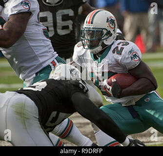 Oakland, Kalifornien, USA. 28 Nov, 2010. Miami Dolphins zurück laufen Ronnie Brown #23 läuft durch Verteidiger am Sonntag, 28. November 2010, im Oakland-Alameda County Coliseum in Oakland, Kalifornien. Die Delphine besiegt die Räuber 33-17. Credit: Al Golub/ZUMA Draht/Alamy leben Nachrichten Stockfoto