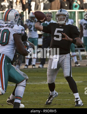 Oakland, Kalifornien, USA. 28 Nov, 2010. Oakland Raiders quarterback Bruce Gradkowski #5 am Sonntag, 28. November 2010, im Oakland-Alameda County Coliseum in Oakland, Kalifornien. Die Delphine besiegt die Räuber 33-17. Credit: Al Golub/ZUMA Draht/Alamy leben Nachrichten Stockfoto