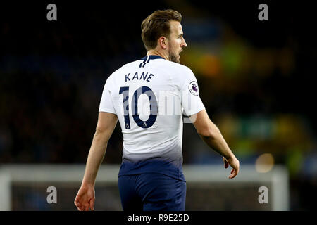 Liverpool, Großbritannien. 23 Dez, 2018. Harry Kane von Tottenham Hotspur an schaut. Premier League match, Everton v Tottenham Hotspur im Goodison Park in Liverpool am Sonntag, den 23. Dezember 2018. pic von Chris Stading/Andrew Orchard sport Fotografie/Alamy Leben Nachrichten dieses Bild dürfen nur für redaktionelle Zwecke verwendet werden. Nur die redaktionelle Nutzung, eine Lizenz für die gewerbliche Nutzung erforderlich. Keine Verwendung in Wetten, Spiele oder einer einzelnen Verein/Liga/player Publikationen. Credit: Andrew Orchard sport Fotografie/Alamy leben Nachrichten Stockfoto