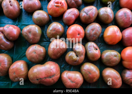 Organische heirloom Tomaten zum Verkauf an der Charleston Weihnachtsmarkt in Marion Square in Charleston, South Carolina. Stockfoto