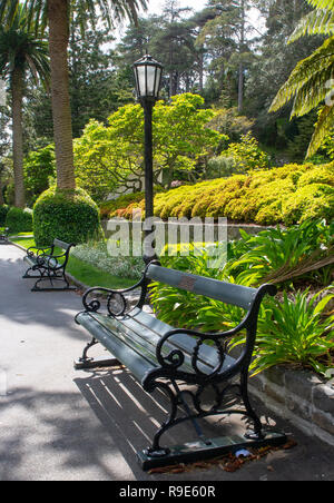 Parkbank sitzen in den Wellington Botanischen Gärten Stockfoto