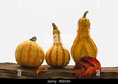 Kürbisse, Äpfel und Blätter im Herbst auf einem Holz mit weißem Hintergrund Stockfoto