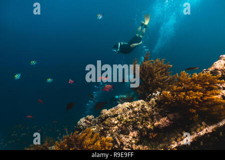 Freediverin erforscht das endlose Meer, Blick aus dem Wrack des Schiffes Stockfoto