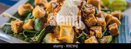 Gado - gado Indonesischer Salat mit Erdnusssoße. Zutaten: Tofu, Spinat, Bohnen, Soja Sprossen, Kartoffeln, Gurken, gekochte Eier, Banner, LANGE FORMAT Stockfoto