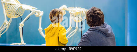 Vater und Sohn sind gerade die Skelette von alten und modernen Menschen. Die Evolution des Menschen ist der evolutionäre Prozess, der für die Entstehung des anatomisch modernen Menschen BANNER, LANGE FORMAT LED Stockfoto