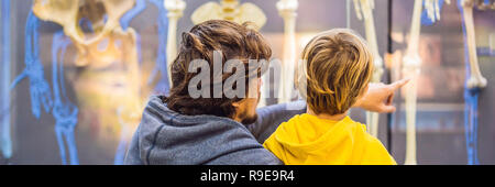 Vater und Sohn sind gerade die Skelette von alten und modernen Menschen. Die Evolution des Menschen ist der evolutionäre Prozess, der für die Entstehung des anatomisch modernen Menschen BANNER, LANGE FORMAT LED Stockfoto