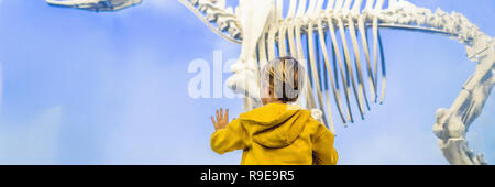 Der Junge beobachtete Dinosaurier Skelett im Museum BANNER, LANGE FORMAT Stockfoto