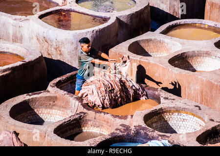 Fes - Marokko - September 29, 2018: Männer in das Leder Gerbereien in Fez, Marokko arbeiten Stockfoto