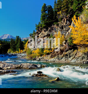 Badger Creek und Herbstfarben unterhalb der Rocky Mountain Front in der Nähe von Herz Butte, Montana Stockfoto