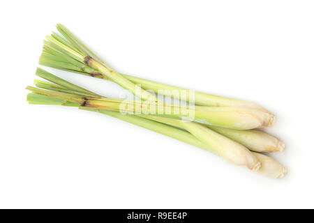 Frisches Grün Zitronengras auf weißem Hintergrund. Stockfoto