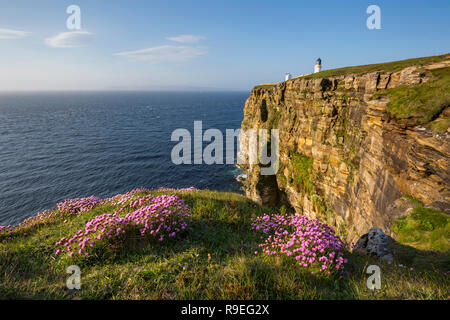 Dunnett Kopf; Caithness, Schottland, Großbritannien Stockfoto