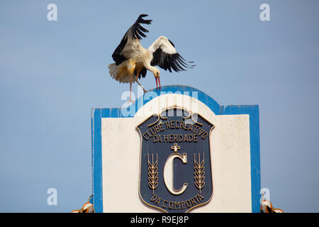 Weißstorch-Nesting über Gebäude in Comporta, Portugal Stockfoto