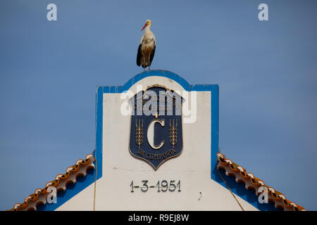 Weißstorch-Nesting über Gebäude in Comporta, Portugal Stockfoto