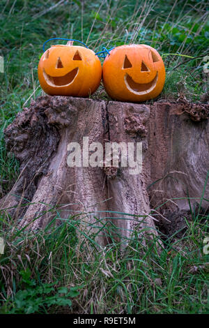 Zwei Kürbisse auf Baumstumpf mit Gesichtern ausgeschnitten für Halloween Stockfoto