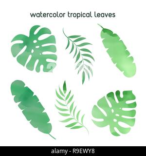 Aquarell tropischen Abbildung Aquarell tropische Blätter für Geburtstag und Party, Wanddekoration, Scrapbooking, Baby Buch, Fotoalben und Ca Stock Vektor