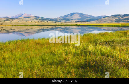 Blick auf den See von Ausläufern der Rocky Mountains und Wiese unter einem blauen Himmel im Sommer in der Nähe von West Yellowstone, Wyoming, USA flankiert. Stockfoto