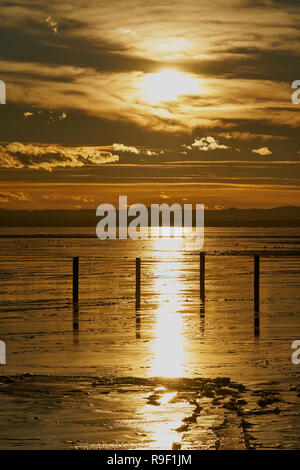 Goldener Sonnenuntergang über dem Neusiedler See in Österreich mit reflektiertem Licht auf flachem Wasser und Silhouettenpfosten. Stockfoto