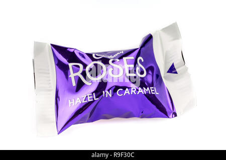 Hazel in der Caramel Cadbury Roses Schokolade auf weißem Hintergrund Stockfoto