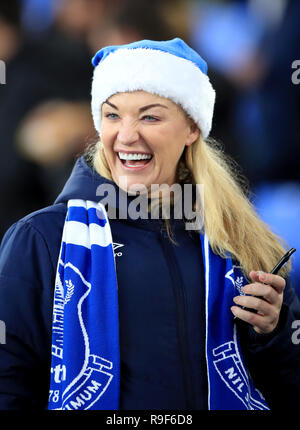 Ein Everton Ventilator in der Standplätze während der Premier League Spiel im Goodison Park, Liverpool. Stockfoto