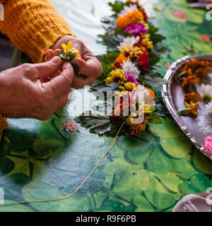 Die Hände eines jungen Devotee, der eine Blume Halskette zu ihren Gurur anbieten zu errichten. Zwischen den Blumen gibt es grüne Blätter als Schönheit Stockfoto