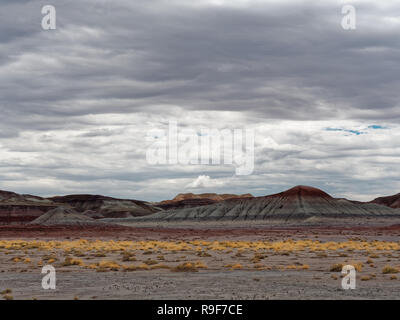 Blue Mesa Painted Dessert Arizona Stockfoto