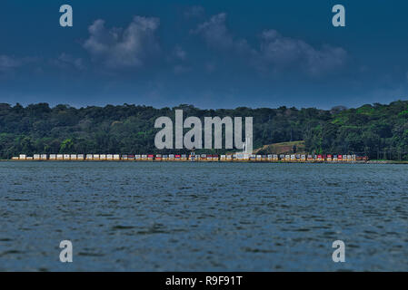 Panamakanal Eisenbahn Zug mit Container Cargo entlang des Panamakanals Stockfoto