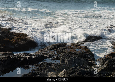 Die Wellen an den Felsen vor der Küste am Cape Perpetua Special Interest Bereich, wo Thor's gut gelegen ist, Oregon, USA Stockfoto