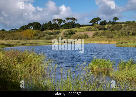 Porth Hellick; St Mary's; Scilly-Inseln, Großbritannien Stockfoto