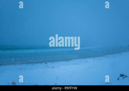 Winter Strand. Starker Schneefall blendet den Horizont. Minimale Sichtbarkeit Stockfoto
