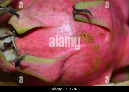Drachenfrucht Closeup Stockfoto