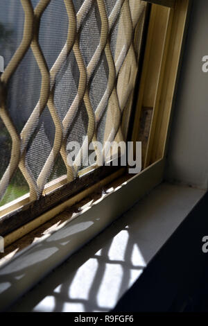 Staub, Schmutz und tote Insekten in Fenster, Fensterbänke und Fliegengitter Stockfoto