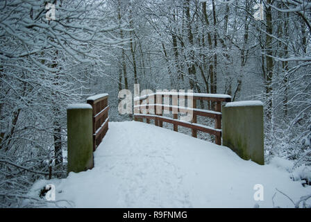 Fußweg über einen schneebedeckten Brücke mit engen Bäume und Büsche auf beiden Seiten. Farbiges Bild. Naturschutzgebiet "Riethoek' (Reedcorner), Amsterdam, So Stockfoto