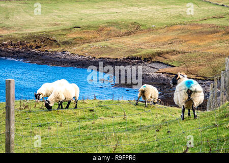 Duntulm von den Ruinen von Duntulm Castle, Isle of Skye - Schottland gesehen. Stockfoto