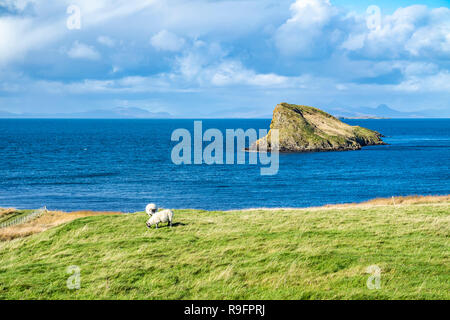 Die Tulm Insel, duntulm Bucht neben der Burgruine auf die Isle of Skye - Schottland. Stockfoto