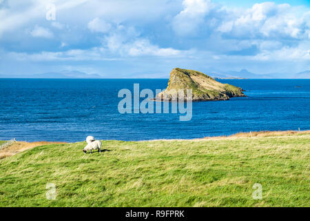 Die Tulm Insel, duntulm Bucht neben der Burgruine auf die Isle of Skye - Schottland. Stockfoto