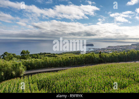 Ein maisfeld mit Vila Franca do Campo und die Insel von Vila Franca do Campo in der Ferne. Stockfoto