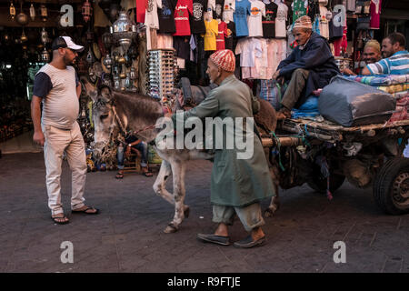 Marrakesch, Marokko - 18. September 2017: der Mann, der einen Esel und Warenkorb in einer Gasse von Marrakesch Stockfoto
