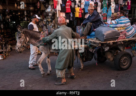 Marrakesch, Marokko - 18. September 2017: der Mann, der einen Esel und Warenkorb in einer Gasse von Marrakesch Stockfoto