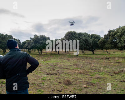 Eine Drohne pilot Pilot mit der Fernbedienung und dem Smartphone in seinen Händen in den Wald Stockfoto