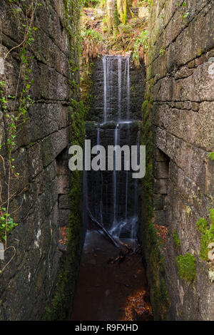 Kennall Vale; Cornwall, UK Stockfoto