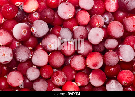 Close-up gefrorene Preiselbeeren, Hintergrund. Natürliche Vitamine. Flach, Ansicht von oben Stockfoto