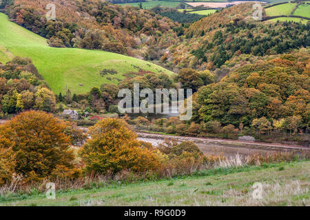 East Looe River von Trenant Holz; Looe, Cornwall Stockfoto