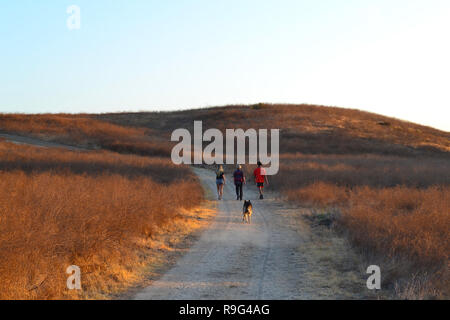 Eine entfernte Familie mit Hund nimmt einen abendlichen Spaziergang in Wiesen von Temecula, Riverside County, Kalifornien, USA Stockfoto