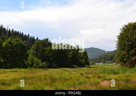 Sommer in Doane Tal, Palomar Mountain State Park, Kalifornien. Doane Teichen und Wiesen. Tolle Gegend zum Wandern, Camping und Beobachten von Wildtieren Stockfoto