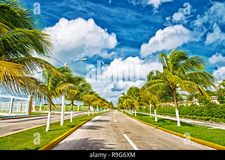 Exotische Autobahn Straße mit grünen Palmen in sonnigem windigen Wetter im  Freien auf blauer Himmel mit weißen Wolken Hintergrund, Cozumel, Mexiko  Stockfotografie - Alamy