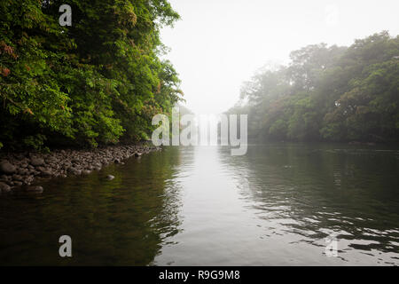 Dichten Regenwald rund um Puerto Viejo Fluss. Heredia Provinz. Costa Rica. Stockfoto