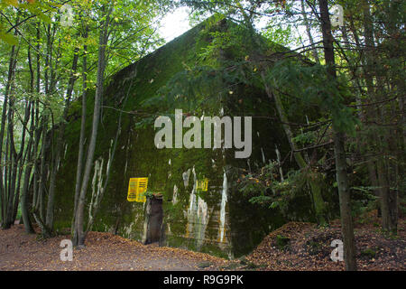 Bleibt der Wolf's Lair (deutsch: wolfsschanze), Führer der Hauptsitz von Adolf Hitler, Rastenburg, Masuren, Polen, Europa Stockfoto