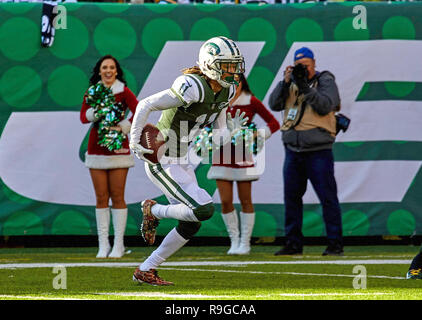 East Rutherford, New Jersey, USA. 23 Dez, 2018. New York Jets wide receiver Robby Anderson (11) Fänge und läuft für einen Touchdown, während ein NFL Spiel zwischen den Green Bay Packers und die New York Jets an MetLife Stadium in East Rutherford, New Jersey. Die New York Jets werden von den Green Bay Packers 44-38 in den überstunden betäubt. Duncan Williams/CSM/Alamy leben Nachrichten Stockfoto