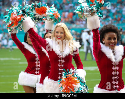 Miami Gardens, Florida, USA. 23 Dez, 2018. Die Miami Dolphins Cheerleaders teilen sich den Urlaub Geist, wie sie in Weihnachten themed Outfits durchführen, während ein NFL Football Spiel zwischen der Jacksonville Jaguars und die Miami Dolphins im Hard Rock Stadion in Miami Gardens, Florida. Die Jaguare gewann 17-7. Credit: Mario Houben/ZUMA Draht/Alamy leben Nachrichten Stockfoto