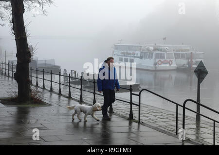 Chester, UK. 24. Dezember 2018. Nebel am frühen Morgen für einen Hund Walker, als er Spaziergänge entlang des Flusses Dee an den Waldungen. Credit: Andrew Paterson/Alamy leben Nachrichten Stockfoto